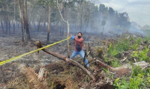 WhatsApp Image 2026-01-23 at 14.24.18